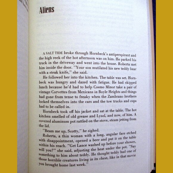 Book: The Voice of America by Rick DeMarinis - Short Story Collection - Picture 2 of 9